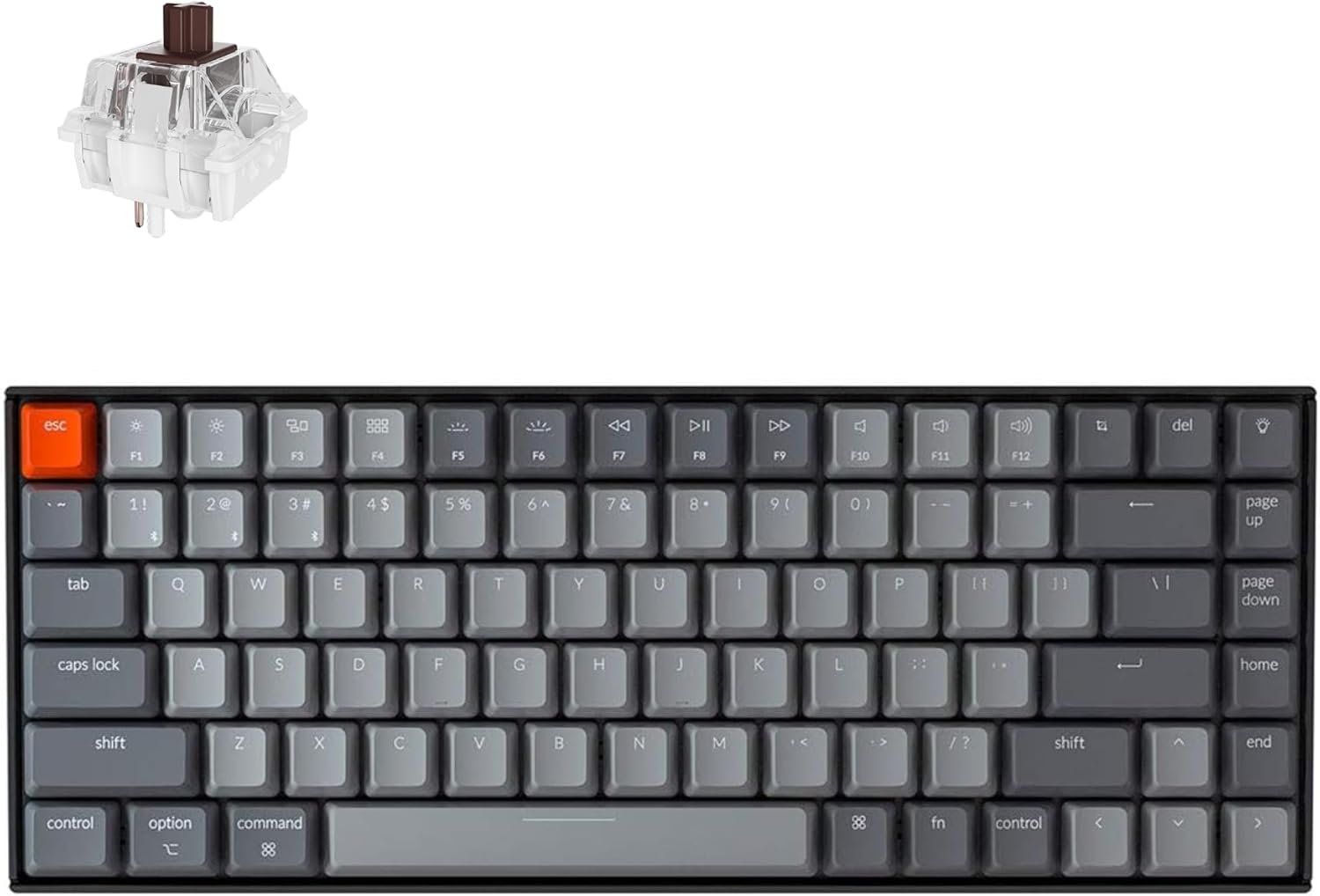 Keychron K2 75% Wireless Mechanical Keyboard for Mac/Windows